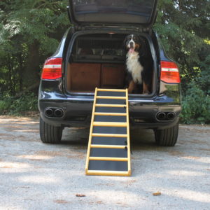 Easy-Hopper Hunderampe Komfort imprägniert mit Feinriefengummimatte