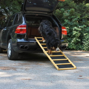 Easy-Hopper Hunderampe Extra Breit Komfort imprägniert mit Feinriefengummimatte