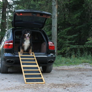 Easy-Hopper Hunderampe Extra Breit Komfort imprägniert mit Feinriefengummimatte
