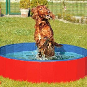 Karlie DOGGY POOL der Swimmingpool für Hunde - Rot-Blau - 120 cm