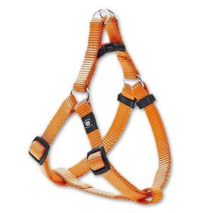 Karlie ASP Step&Go Geschirr - Orange - 10 mm, 36-52 cm