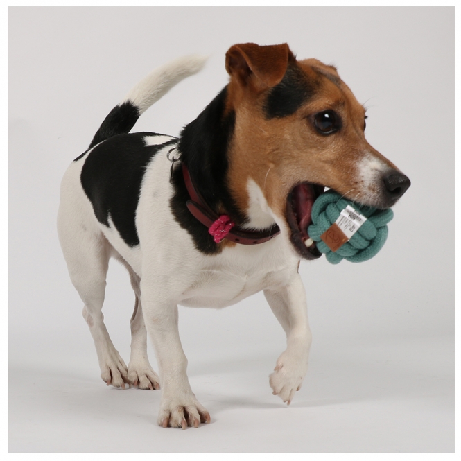 D&D Knotenball Skip - blau - 15cm – Bild 4